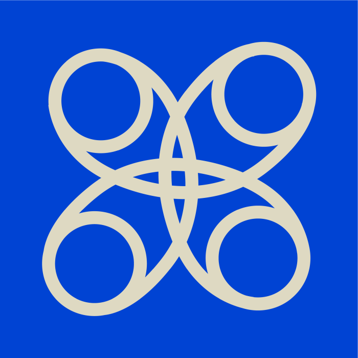 VV principes Solidariteit kleur