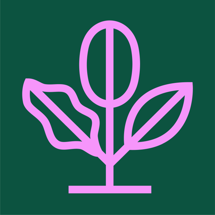 VV principes diversiteit kleur