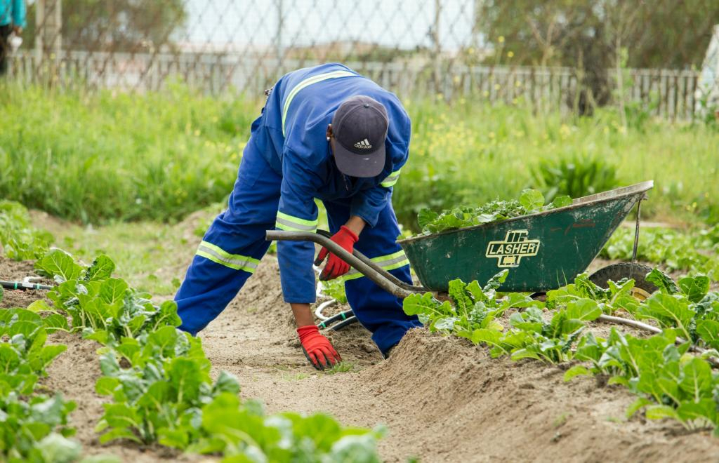 Niemand is gediend met de verplichte gemeenschapsdienst